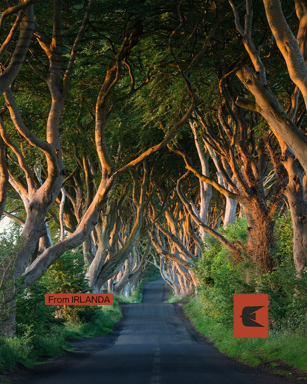 Irlanda - Tra leggende gaeliche e memorie dei Troubles