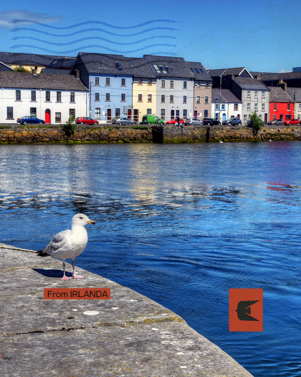 Irlanda - Tra leggende gaeliche e memorie dei Troubles