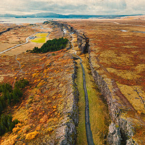 Il cerchio d'oro in chiave norrena