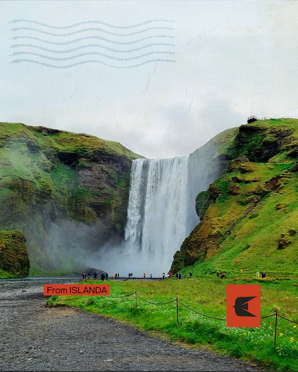 Islanda vichinga - Dalle saghe ai fiordi occidentali