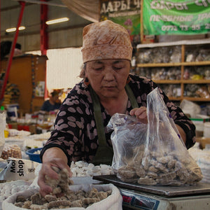 I Quaranta Raggi del Sole