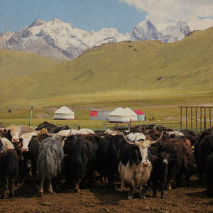 I guardiani delle alte praterie