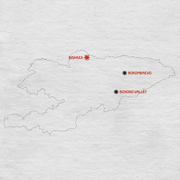 Le case che camminano