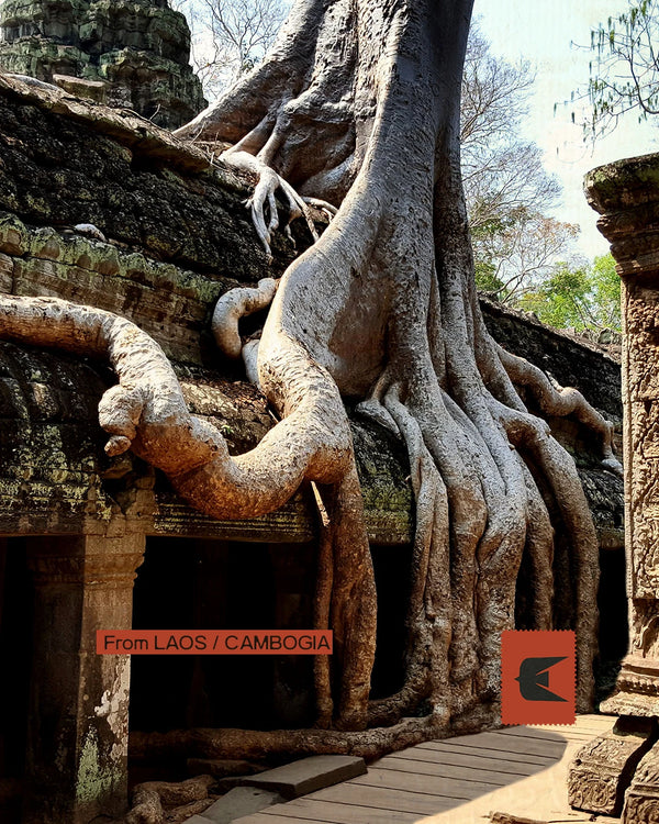 Laos e Cambogia - Dal Mekong ai templi di Angkor