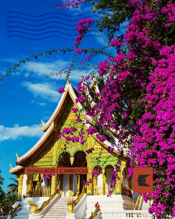 Laos e Cambogia - Dal Mekong ai templi di Angkor