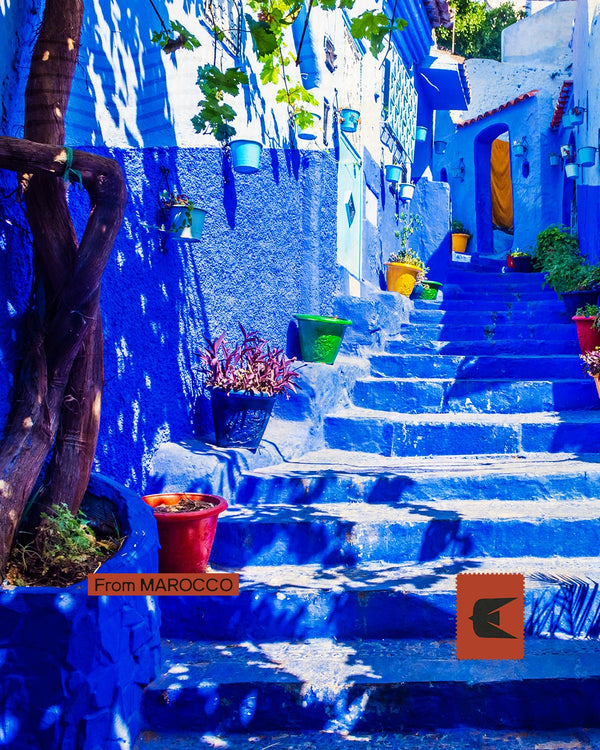 Marocco - Città blu, Sahara e kasbah di terra rossa
