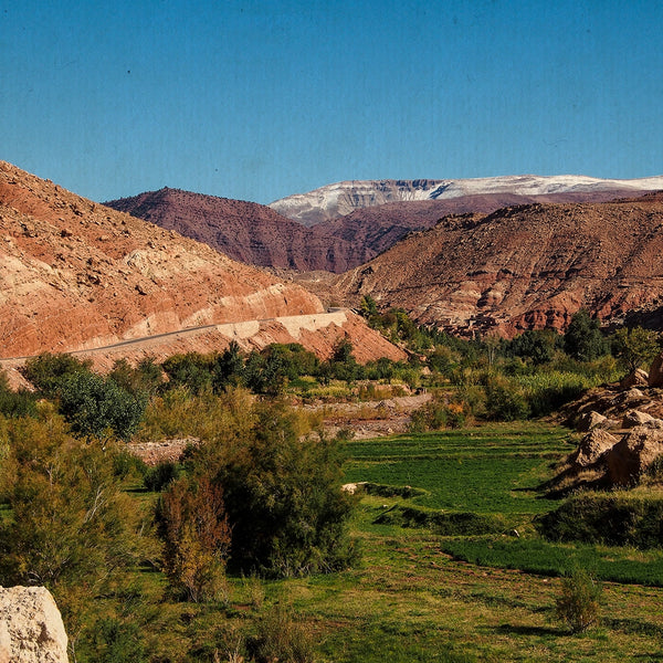 Verso il Sahara