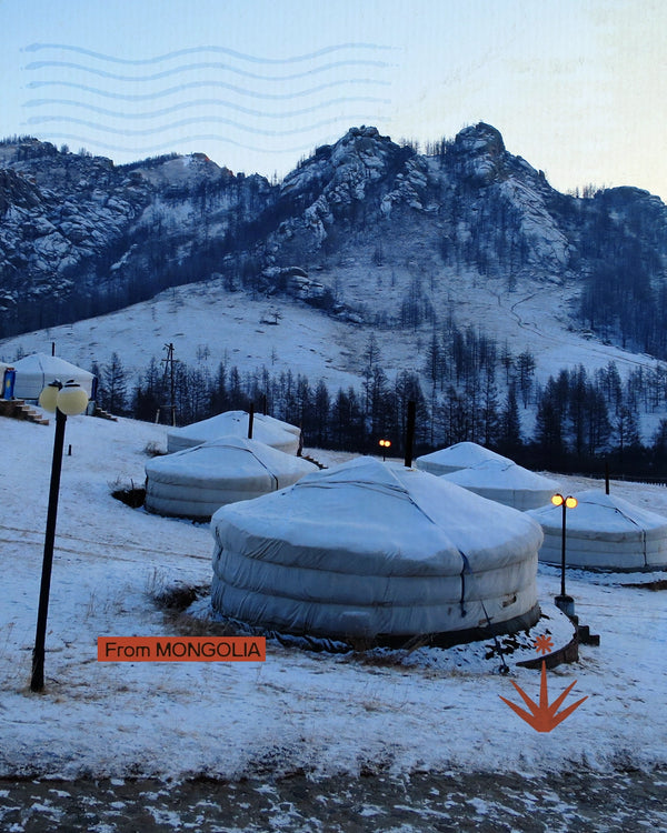 Mongolia d'inverno - La landa dei Khan