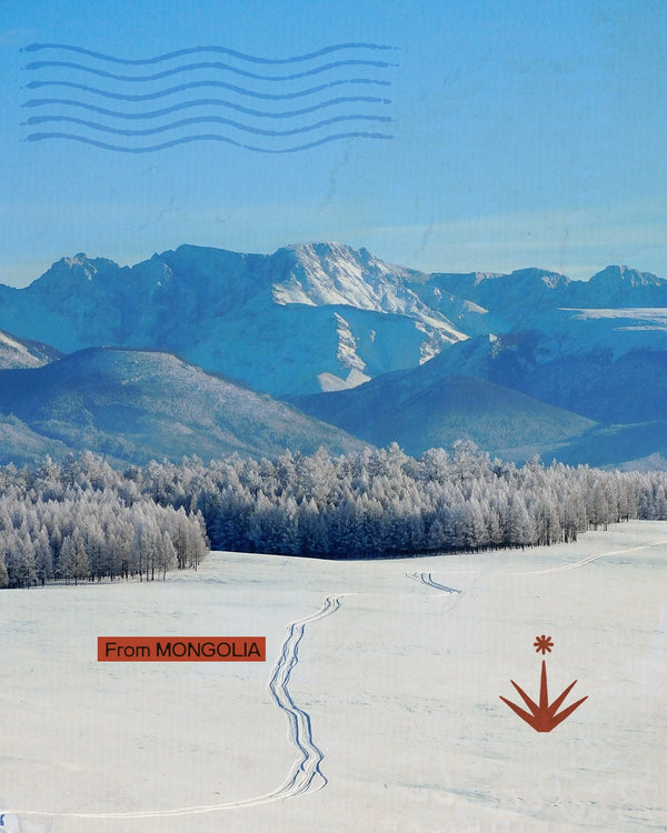 Mongolia d'inverno - La landa dei Khan