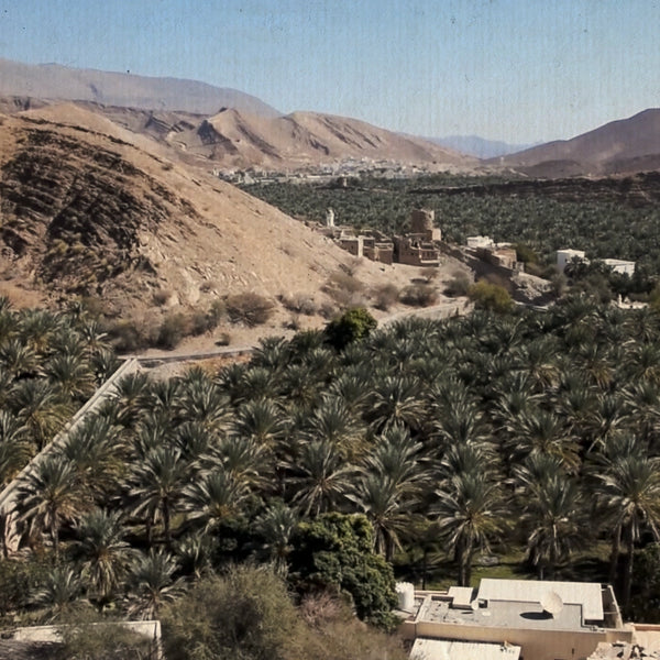 Fortezze nel deserto