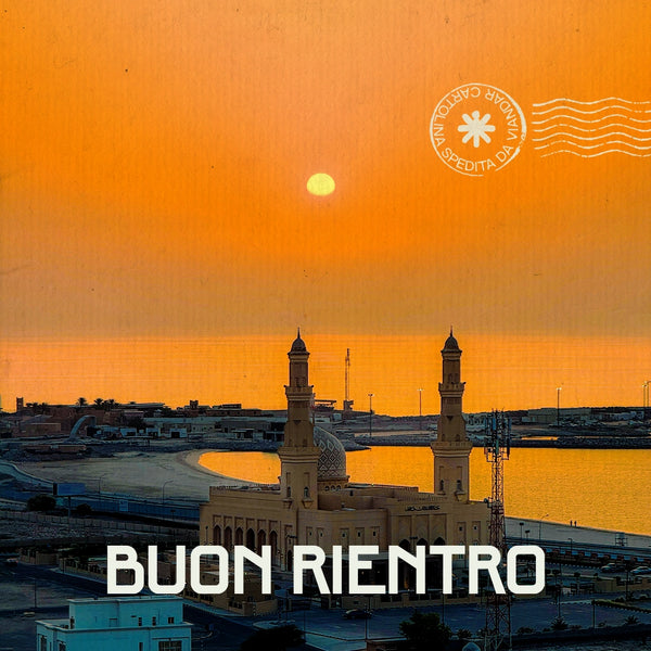 Ritorno in Italia