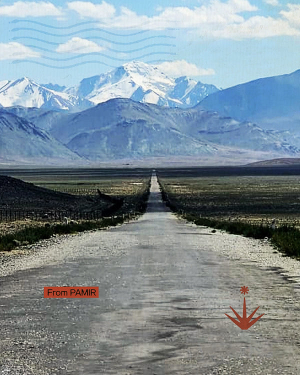 Pamir 4x4 - Tajikistan e Kirghizistan on the road