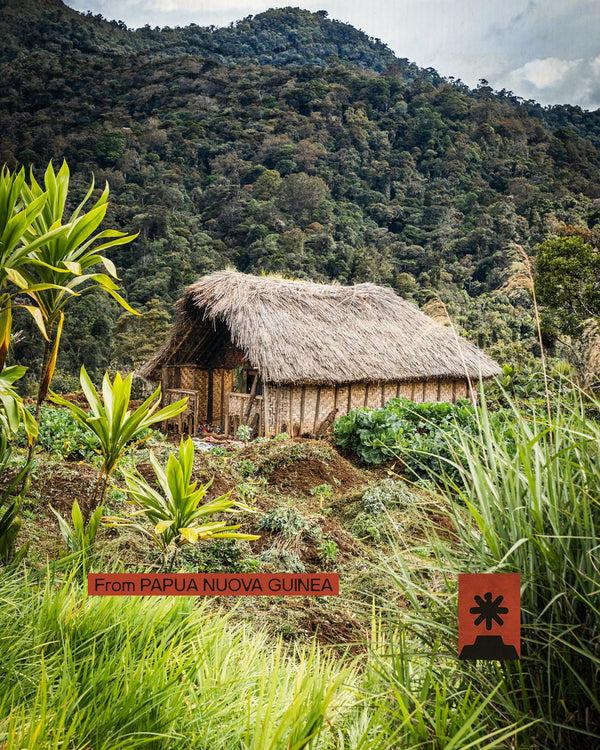 Papua Nuova Guinea - Sulle tracce di un diario ritrovato
