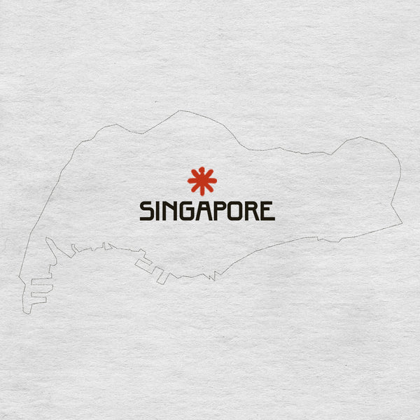 Singapore (o altra città per lo scalo)