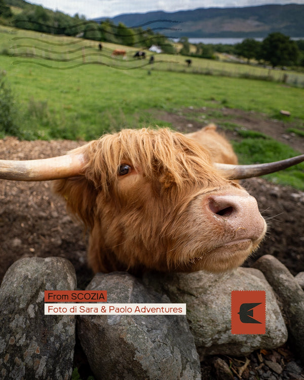 Scozia on the road - Tra le leggende delle Highlands