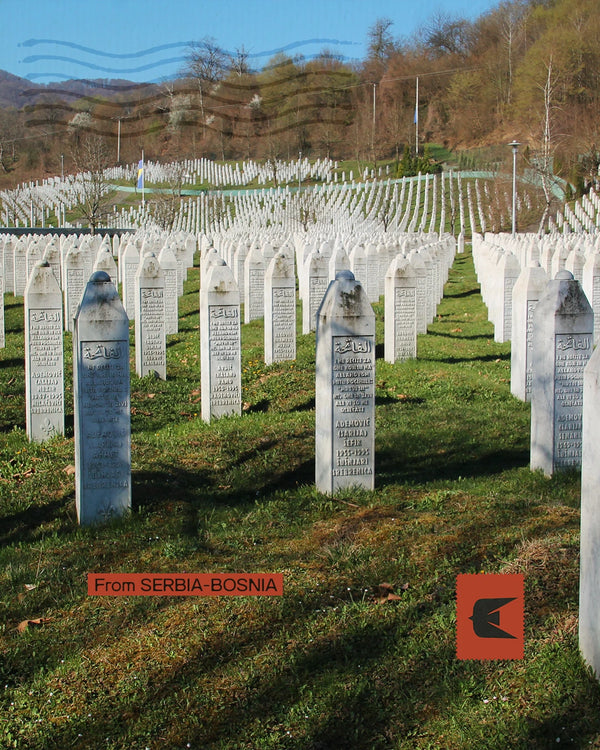 Serbia e Bosnia - I Balcani tra imperi e memorie