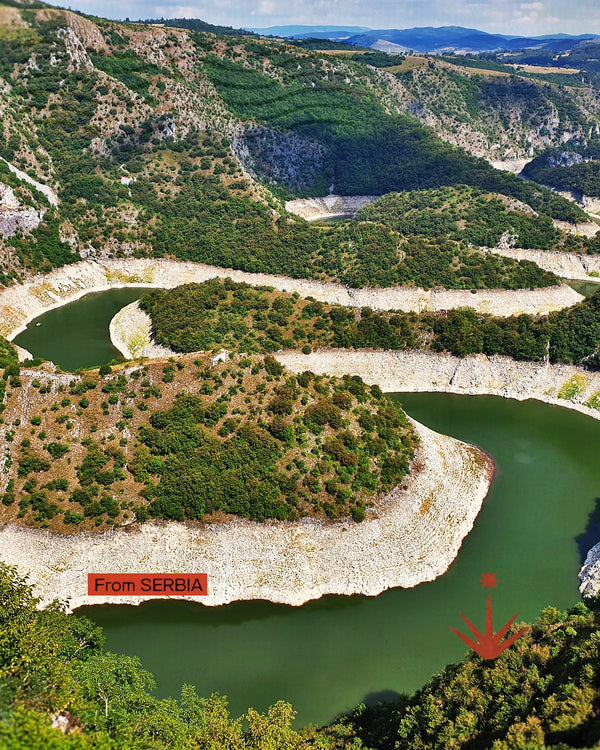 Serbia - Nel film di Kusturica