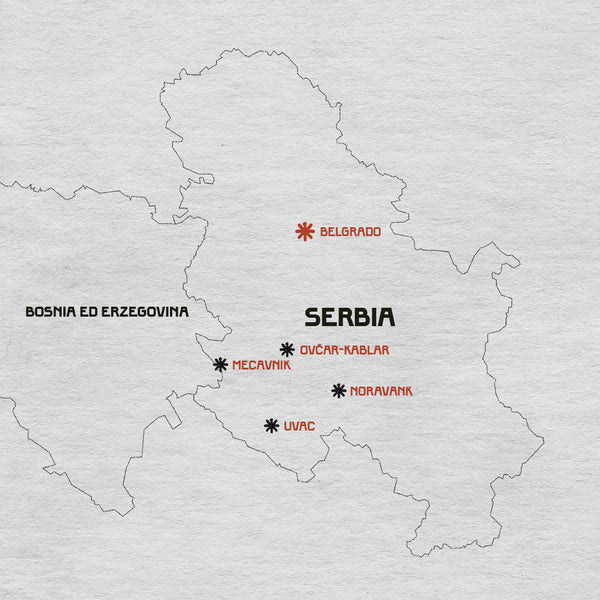 Scena IV – “Cinema e galline”