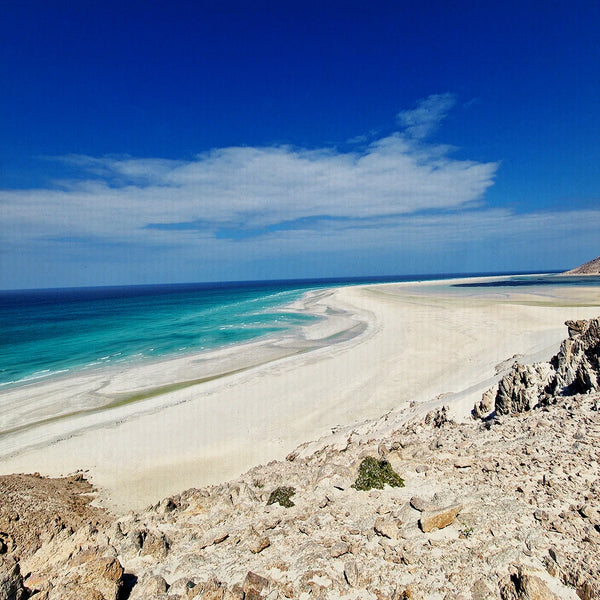 Primo incontro con Socotra