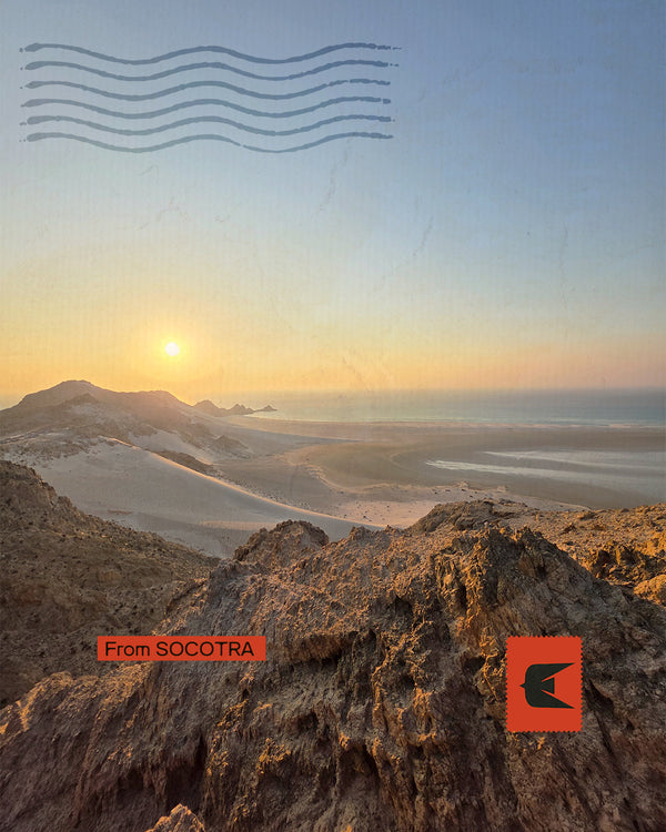 Socotra - Nel paradiso del sangue di Drago