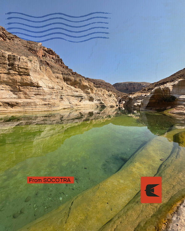 Socotra - Nel paradiso del sangue di Drago
