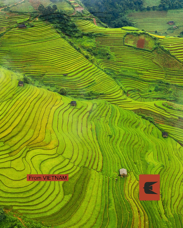 Vietnam - Tra cultura e paesaggi senza tempo