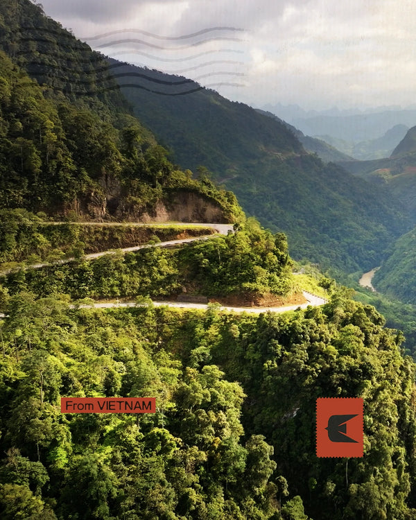 Vietnam - Tra cultura e paesaggi senza tempo