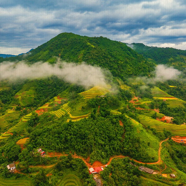 Trekking tra risaie e comunità locali