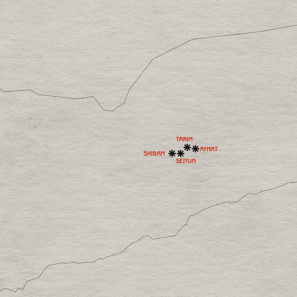 La Manhattan d’Arabia tra cielo e terra