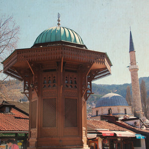 Il ritorno alla vita 