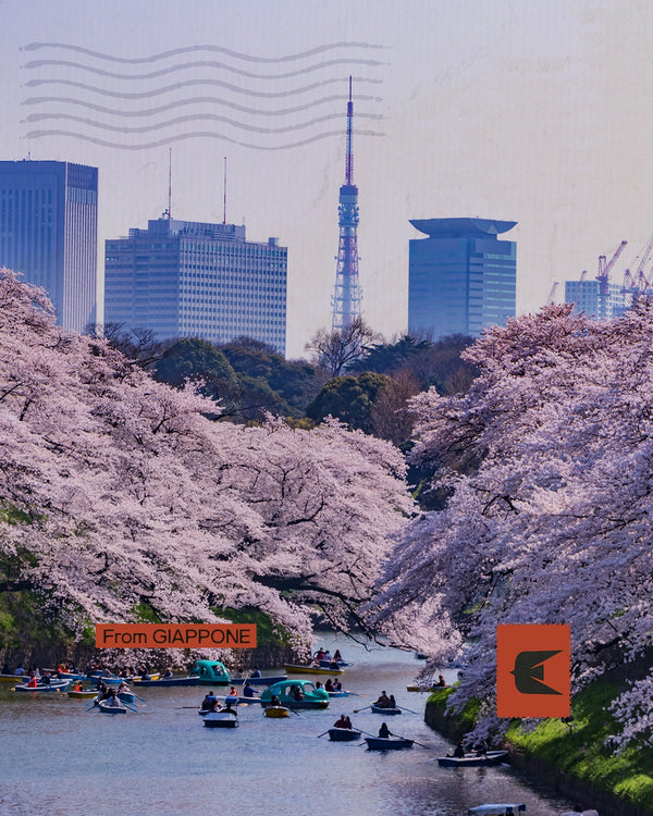 Giappone - Hanami sulla via dei Samurai