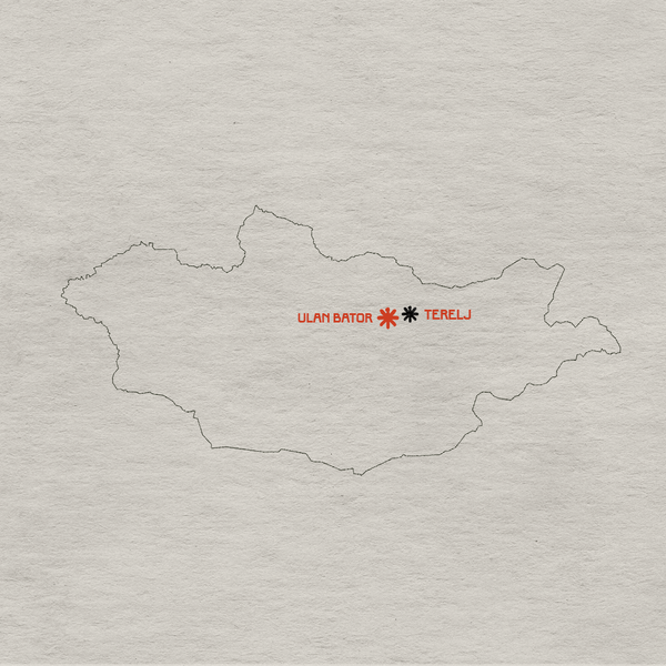 La tartaruga tra le montagne